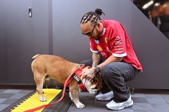Lewis Hamilton dan Roscoe.