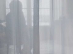 Kumpulan hadiah untuk Sofia, pahlawan wanita yang terlupakan pada 13 November, berjumlah lebih dari 200.000 euro