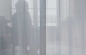 Kumpulan hadiah untuk Sofia, pahlawan wanita yang terlupakan pada 13 November, berjumlah lebih dari 200.000 euro