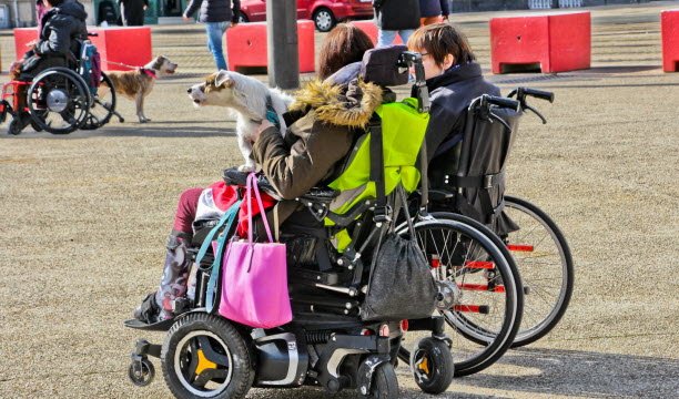 Sejak 1 Desember, kursi roda telah mendapat penggantian penuh. Foto Sipa / Michel Gile