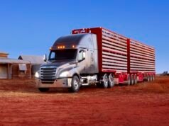 Pasar truk berat Australia: tahun 2025 yang solid meskipun terjadi perlambatan