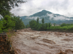 Angka pada tahun 2025: berapa besar kerugian yang ditimbulkan oleh sepuluh bencana iklim terbesar tahun ini?