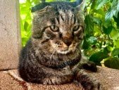 Tangkapan layar Facebook/Duccio Berzi