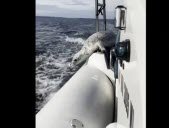 Tangkapan Layar Youtube/Penjaga