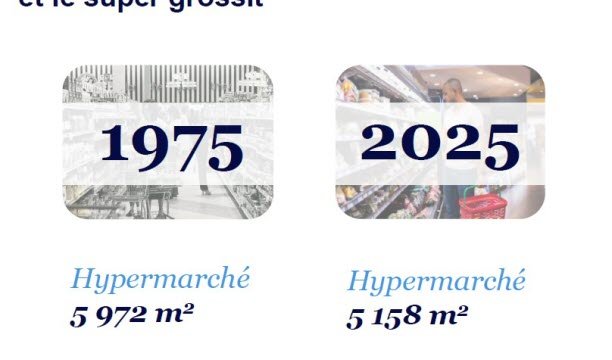 Evolusi rata-rata luas permukaan hipermarket dan supermarket. Infografis Dimensi Perdagangan NielsenIQ