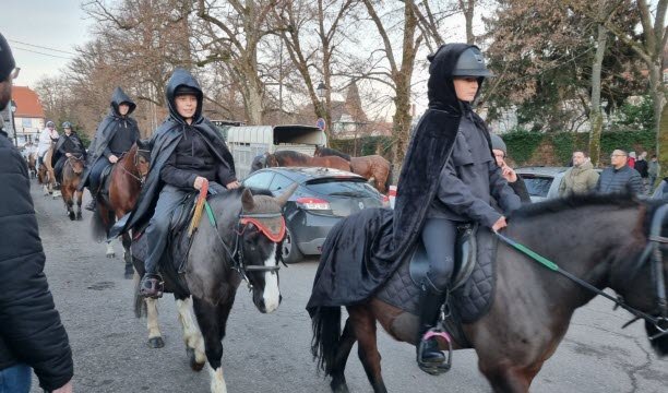 Kuda-kuda meregangkan kaki mereka untuk pertunjukan. Mereka sudah berjalan-jalan di pagi hari. Foto Veronique Kohler