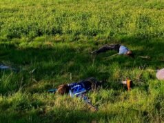 Ketaatan manis sekali dari perusahaan Melodrama