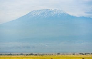 Tanzania. Helikopter jatuh di Gunung Kilimanjaro 4.700 meter di atas permukaan laut, menewaskan lima orang