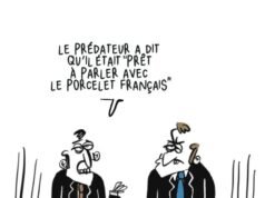 humor. Menggambar hari ini. Pemangsa dan anak babi