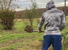 Alex, 29 tahun, tukang kebun-youtuber-bintang jaringan