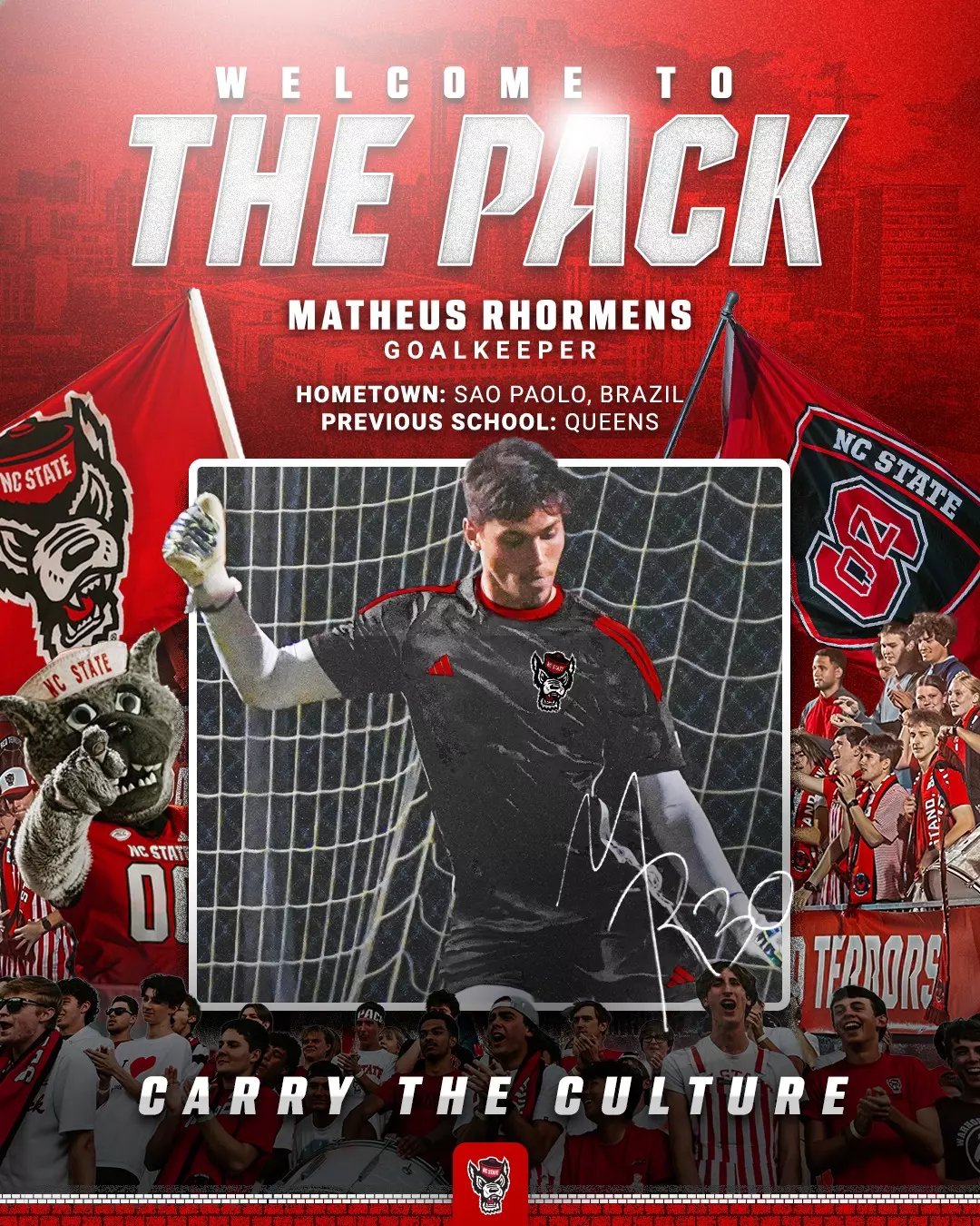 Matheus Rhormens – Selamat datang di paket