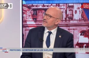 “Kami ingin membakarnya di lapangan umum, seperti para penyihir di abad ke-16,” jawab senator LR Olivier Paccaud