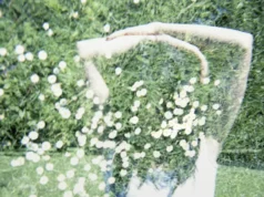 Julie Delille menyutradarai “La Finta Giardiniera” di bawah arahan musik Chloé Dufresne bersama Akademi Opera Nasional Paris dan Orkestra Ostinato