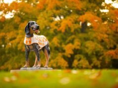 Tennessee menempatkan rekor ke-125 pada SEC Honor Roll musim gugur