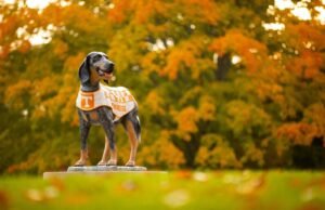 Tennessee menempatkan rekor ke-125 pada SEC Honor Roll musim gugur