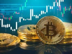 Cryptocurrency: gelembung pecah di Vietnam, pertanda buruk bagi seluruh dunia?