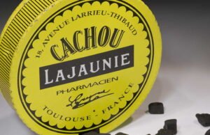 Cachou Lajaunie dalam bahaya, mobilisasi untuk menyelamatkan pengetahuan selama 140 tahun