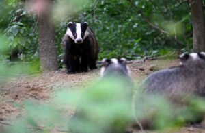 Video. $konten.TitleNoTags