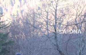 Video. $konten.TitleNoTags