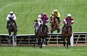 Tiket VIP Festival Cheltenham 2026 terjual dengan cepat karena ketersediaan terbatas | Ras | olahraga