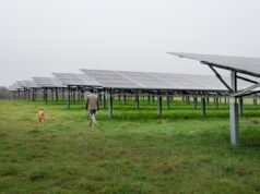 “Saya akan melipatgandakan gaji saya”: di Vienne, bagaimana agrivoltaisme membawa gandum bagi para petani