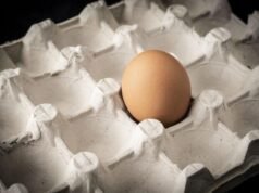 Ambisi produsen telur pada tahun 2035