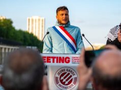 Pembubaran kelompok anti-fasis, Pengawal Muda: apa isi undang-undang?