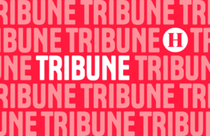 Dukungan untuk Francesca Albanese