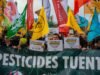 “Jika masyarakat menolak pestisida pembunuh lebah”: hampir 200.000 tanda tangan menentang undang-undang Duplomb 2