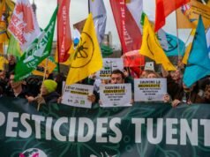 “Jika masyarakat menolak pestisida pembunuh lebah”: hampir 200.000 tanda tangan menentang undang-undang Duplomb 2