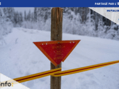 FINLANDIA: Untuk melindungi diri dari ancaman Rusia, tentara memulihkan ranjau anti-personil