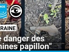 Ukraina: “ranjau kupu-kupu” Rusia menargetkan warga sipil