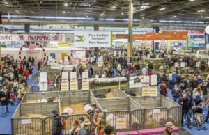 Krisis dunia pertanian, penyakit ternak, lobi… Untuk apa Pameran Pertanian itu?