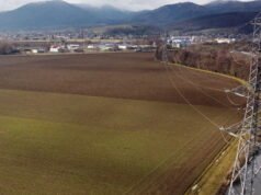 Meskipun komisioner investigasi telah memberikan saran yang baik, para penentang tetap melakukan mobilisasi