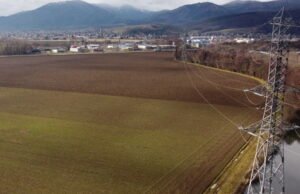 Meskipun komisioner investigasi telah memberikan saran yang baik, para penentang tetap melakukan mobilisasi