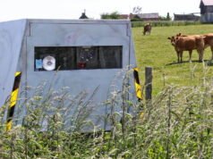 asuransi mobil diperiksa secara otomatis