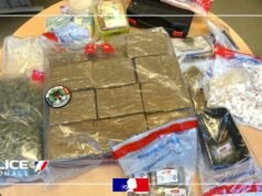 Lille. Di bawah kendali petugas polisi, dia membuka kotak sarung tangannya yang berisi obat-obatan di depan mata mereka