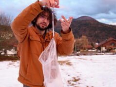 Massa Vosges. Para peneliti dan relawan membiarkan salju di puncak bertindak untuk mengantisipasi iklim masa depan