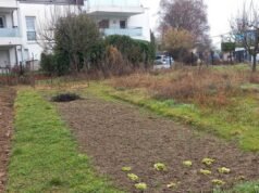 Lampertheim. Panti jompo: menjelang mulai bekerja pada musim semi tahun 2027