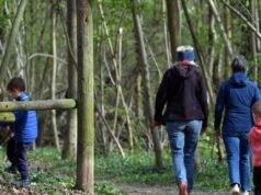 Christian Wendling merinci ‘masalah penting’ untuk Ostwald