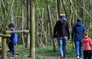 Christian Wendling merinci ‘masalah penting’ untuk Ostwald