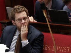 Kebijakan. Menteri David Amiel menggantikan Amélie de Montchalin di Akun Publik