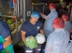 Kompetisi Pertanian Umum 2026. Asinan kubis Alsatian dihiasi dengan emas, perak dan perunggu