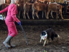 France Travail ingin mengembangkan keterlibatan dalam kegiatan pertanian