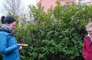 Strasbourg. Di Stockfeld dia mengajari pemiliknya berbicara dengan anjing