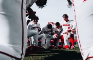 Lafayette setrum Paket Serigala No.13