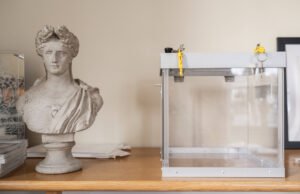 Bisakah kita mengetahui hasilnya sebelum jam 8 malam? Apa yang dikatakan undang-undang