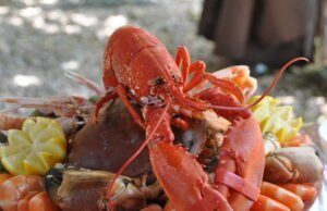 Lobster, iPad… Di Departemen Pertahanan AS, pers mengecam salah urus