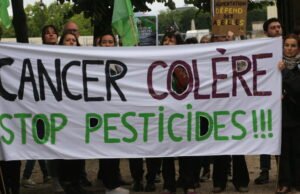 Kesehatan. Pestisida ada di udara di mana pun di Perancis, Atmo menunjukkannya pada peta interaktif