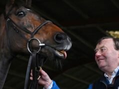 Constitution Hill akan tampil di Cheltenham setelah persetujuan pelatih | Ras | olahraga